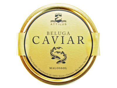 Beluga Caviar