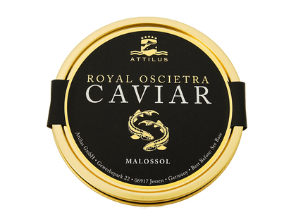Der Royal Siberian von Attilus Kaviar überzeugt.