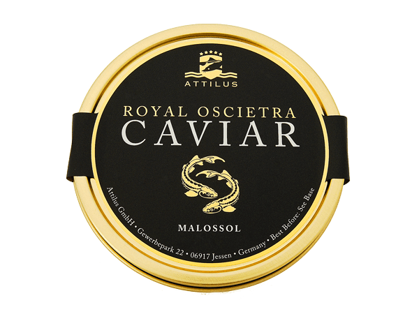 ROYAL OSCIETRA KAVIAAR